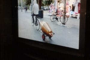 IMG_20221008_191118