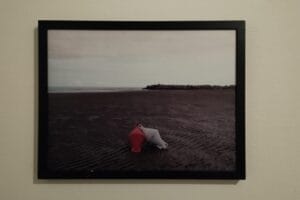 IMG_20221008_194910