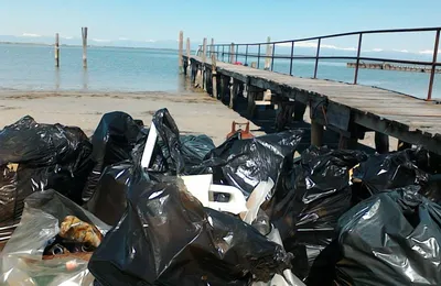 Torna a Lignano ‘Cleanin March’: spiagge pulite a ritmo di musica